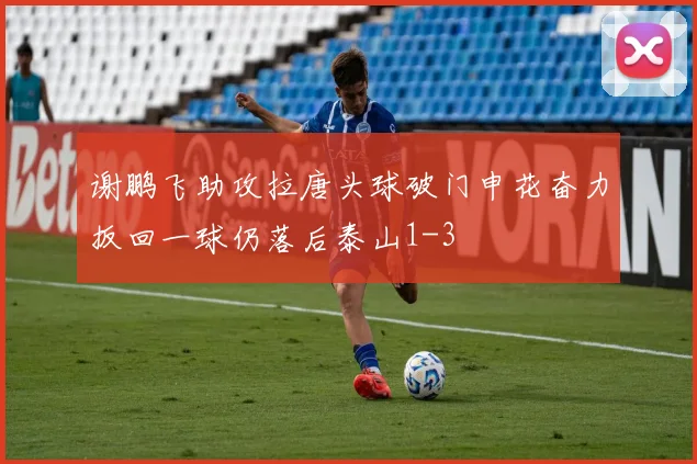 谢鹏飞助攻拉唐头球破门申花奋力扳回一球仍落后泰山1-3