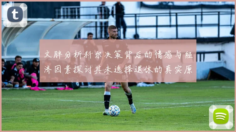 文胖分析科尔决策背后的情感与经济因素探讨其未选择退休的真实原因