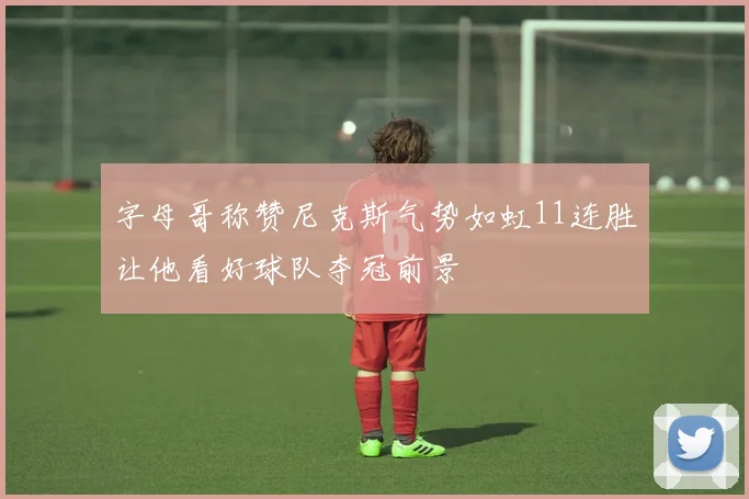字母哥称赞尼克斯气势如虹11连胜让他看好球队夺冠前景